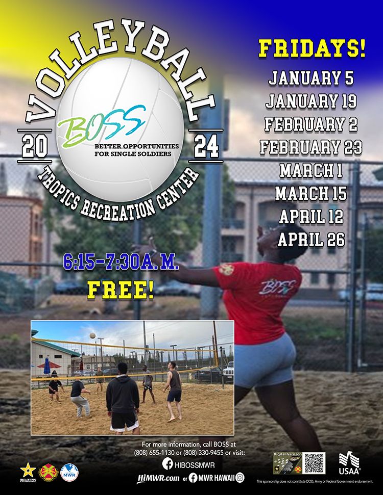 WEB_11-2023_BOSS VOLLEYBALL_Flyer.jpg